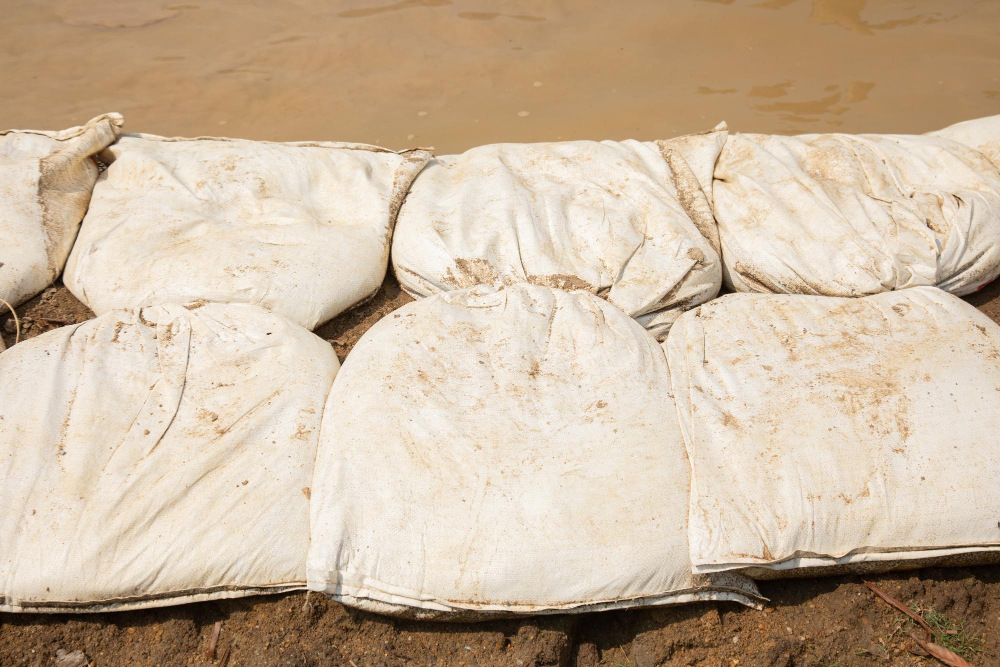 Sandbags Get Moldy
